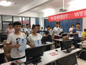 代碼中的藝術 當編程邂逅匠心——許昌鯉魚IT的計算機技術培訓之道